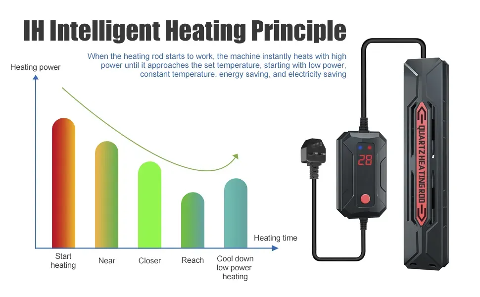 The Ultimate Guide to Starting a Home Aquarium in the UK